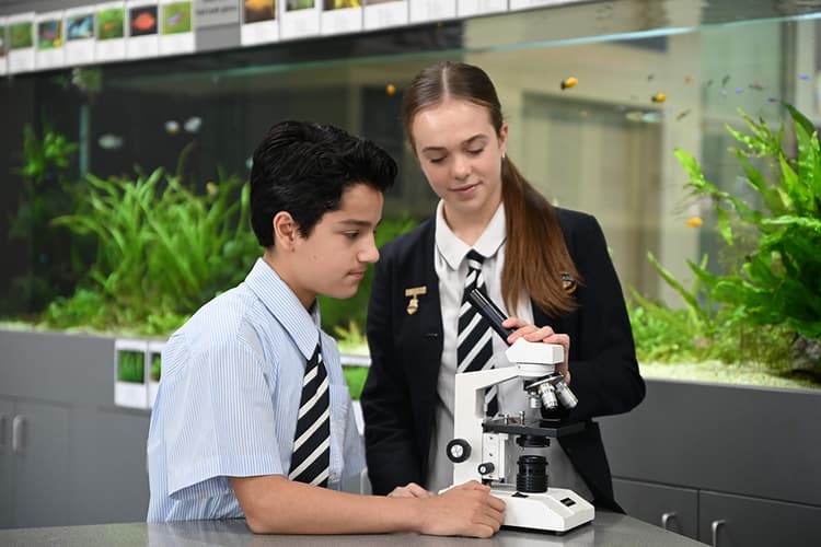 Scholarships And Bursaries Scholarships And Bursaries